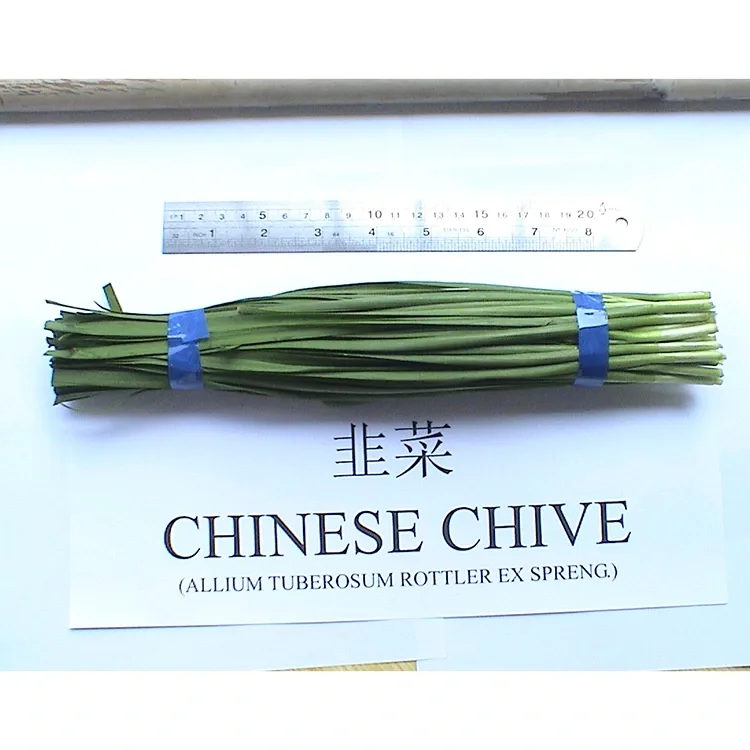 Farm Fresh Chinese Chives Asian Cuisine වල බහුලව භාවිතා වන්නේ ඇයි?