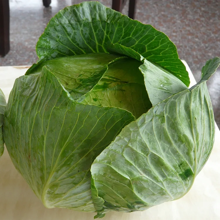 හැපෙනසුළු නැවුම් ගෝවා