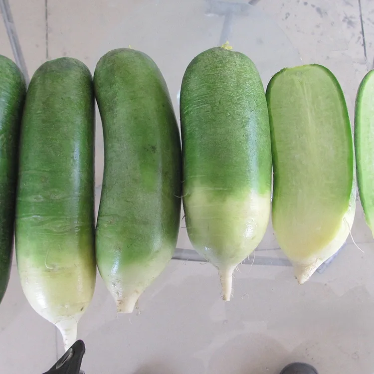හැපෙන කොළ රාබු