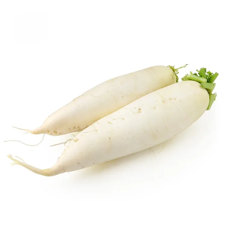 හැපෙනසුළු සුදු රාබු