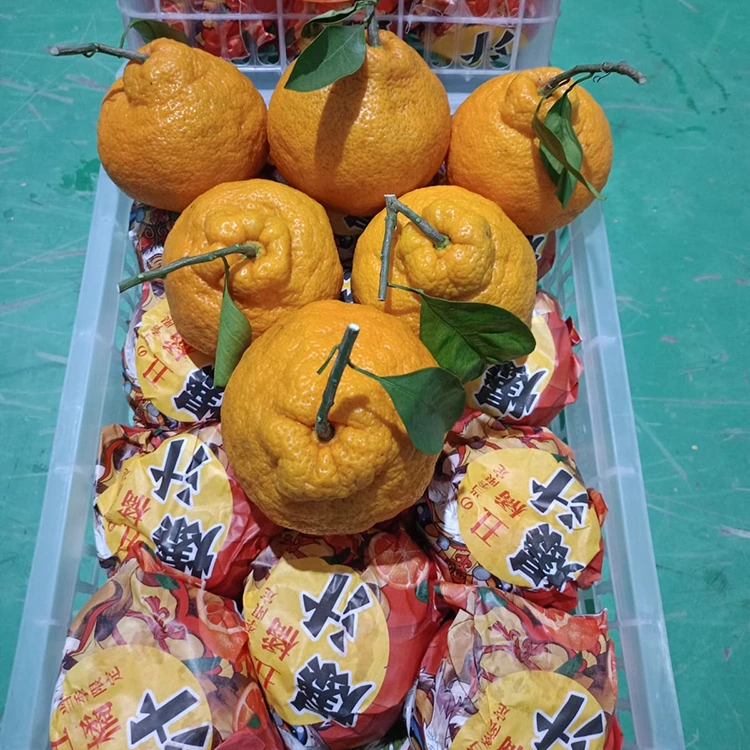 නැවුම් ශිරානුයි මැන්ඩරින්