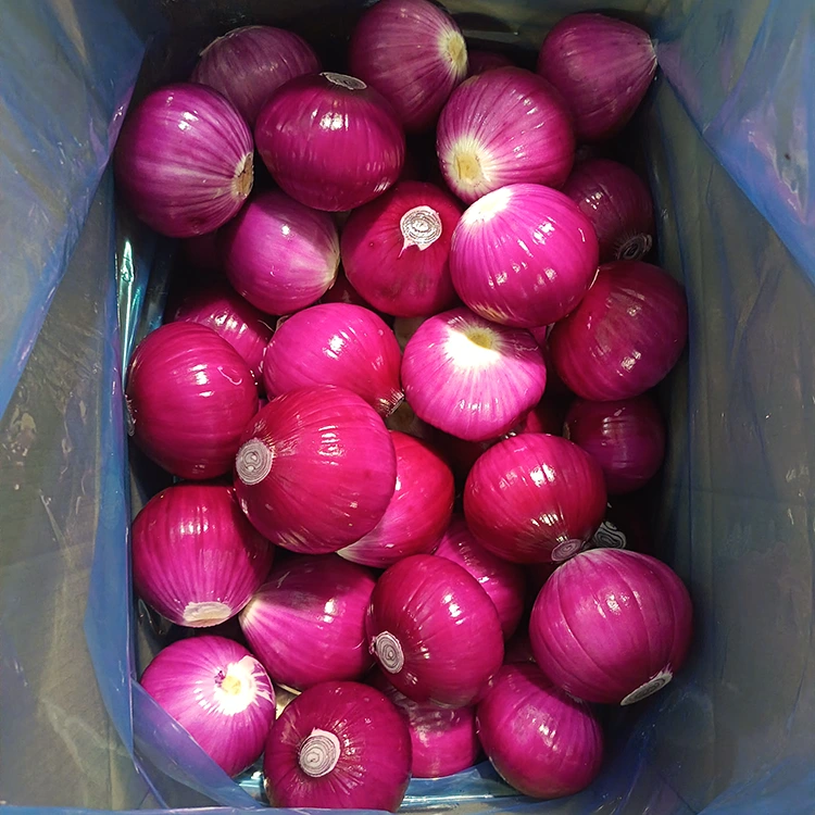 උසස් තත්ත්වයේ භාවිතෙය්දී ළූණු