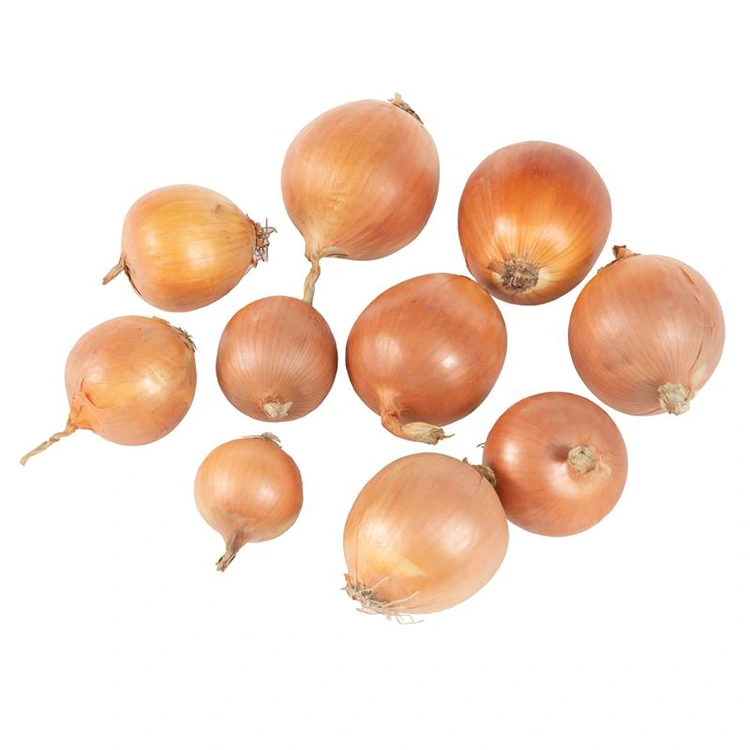 වාරික නැවුම් කහ ළූණු