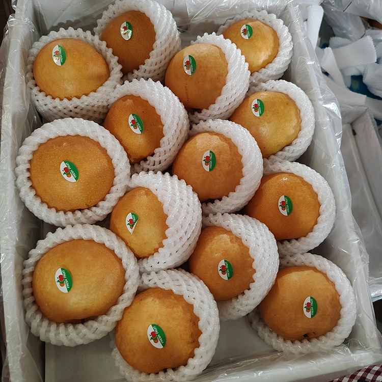 වාරික ෂින්ගෝ පෙයාර්ස්