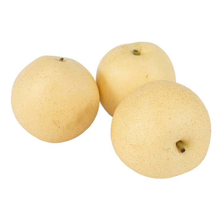 සෘතුමය ඔටුන්න පෙයාර්ස්