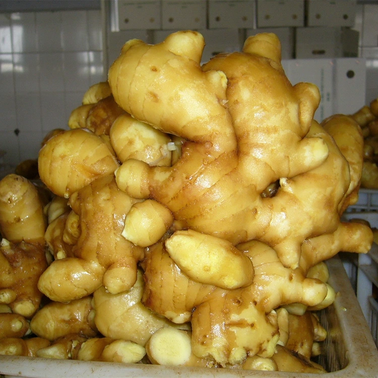 කුළුබඩු සහිත නැවුම් ඇරෝමැටික ඉඟුරු