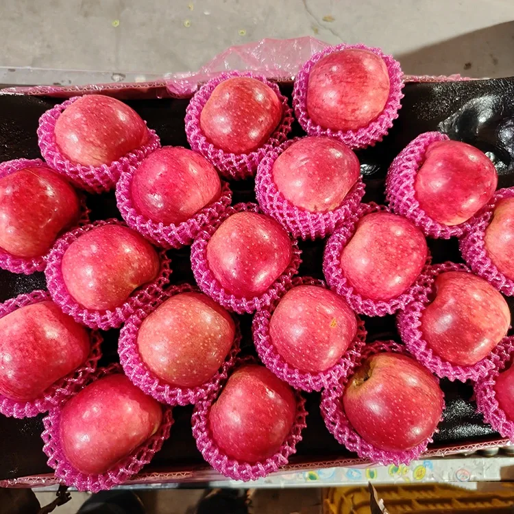 සුපිරි නැවුම් ජිගුවාන් ඇපල්